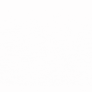 Animated E mail Signature (Plus)