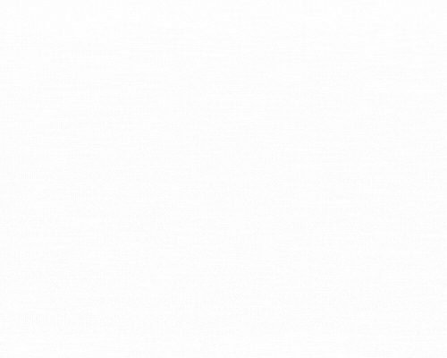 Animated E mail Signature (Plus)